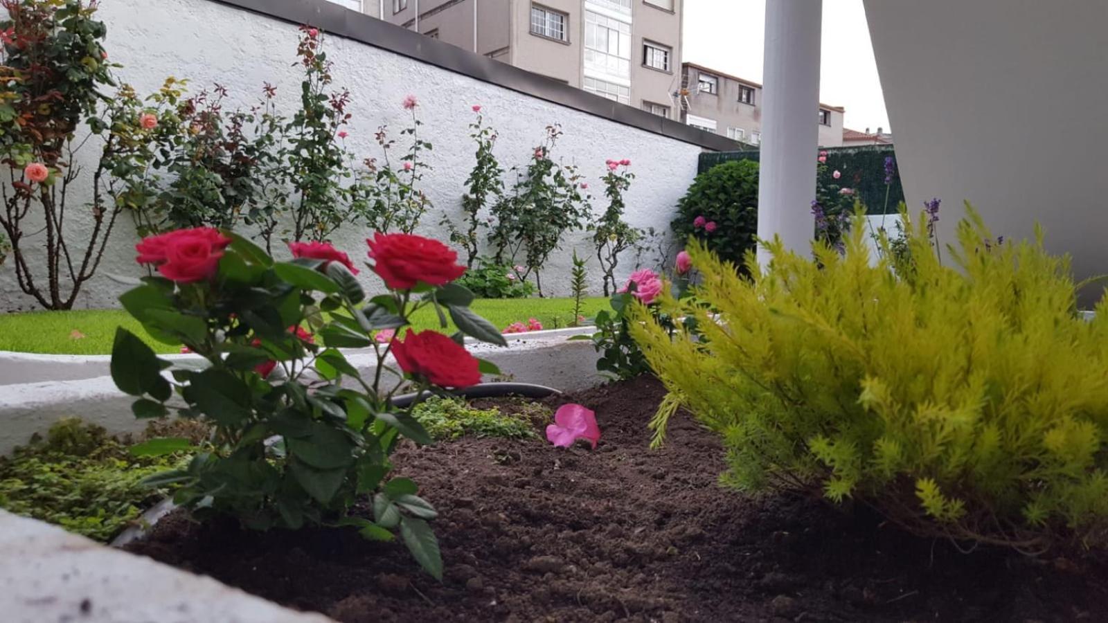 Apartamentos Turisticos Arosa Ogrove オ・グローベ エクステリア 写真